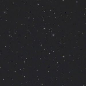 Meet your Posher, Khalil